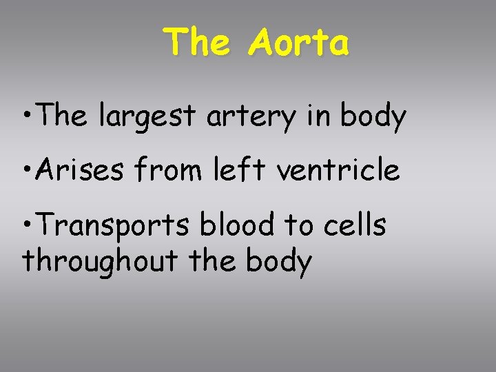 The Aorta • The largest artery in body • Arises from left ventricle •