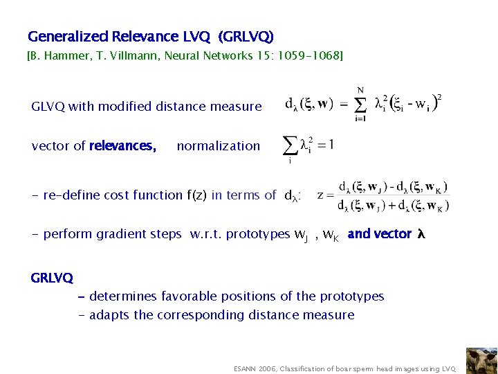 Generalized Relevance LVQ (GRLVQ) [B. Hammer, T. Villmann, Neural Networks 15: 1059 -1068] GLVQ