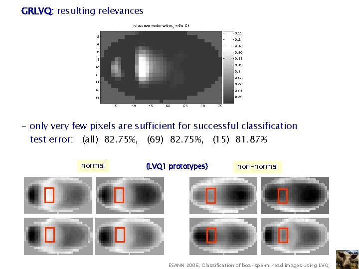 GRLVQ: resulting relevances - only very few pixels are sufficient for successful classification test