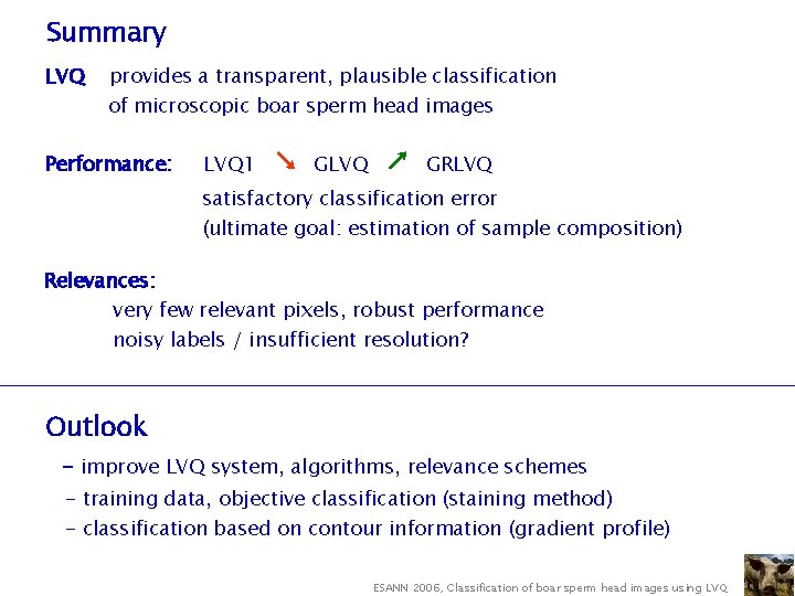Summary LVQ provides a transparent, plausible classification of microscopic boar sperm head images Performance: