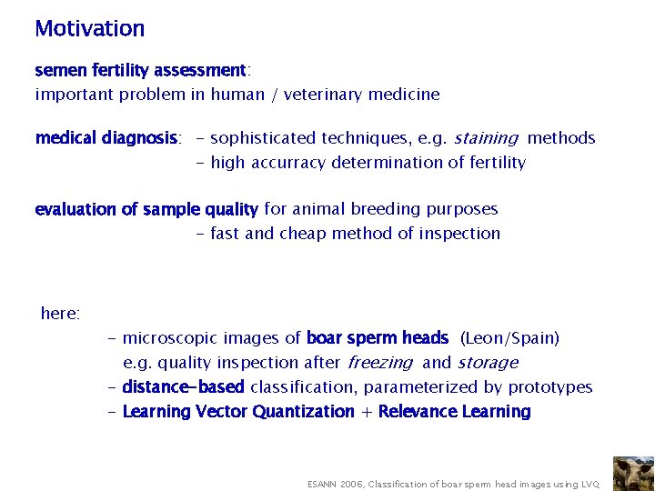 Motivation semen fertility assessment: important problem in human / veterinary medicine medical diagnosis: -