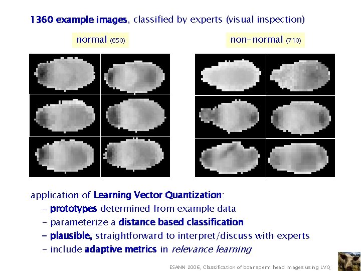 1360 example images, classified by experts (visual inspection) normal non-normal (650) (710) application of