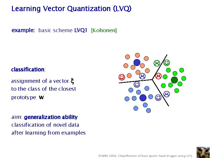 Learning Vector Quantization (LVQ) example: basic scheme LVQ 1 [Kohonen] • initialize prototype vectors