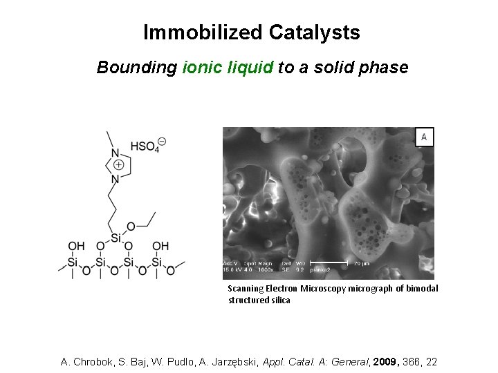 Immobilized Catalysts Bounding ionic liquid to a solid phase Scanning Electron Microscopy micrograph of