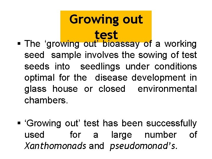 Growing out test The ‘growing out’ bioassay of a working seed sample involves the