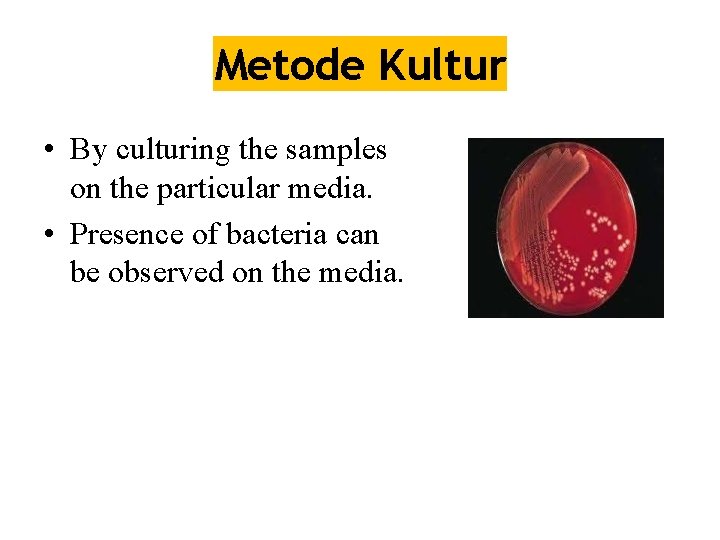 Metode Kultur • By culturing the samples on the particular media. • Presence of
