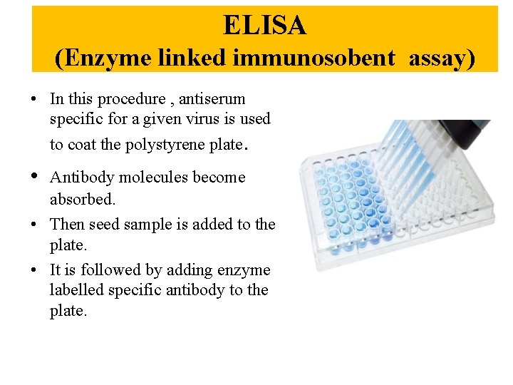 ELISA (Enzyme linked immunosobent assay) • In this procedure , antiserum specific for a