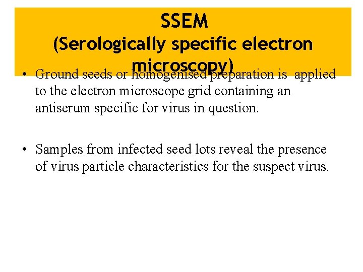SSEM • (Serologically specific electron microscopy) Ground seeds or homogenised preparation is applied to