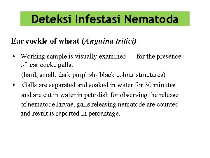 Deteksi Infestasi Nematoda Ear cockle of wheat (Anguina tritici) • Working sample is visually