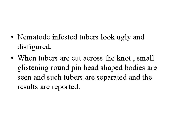  • Nematode infested tubers look ugly and disfigured. • When tubers are cut