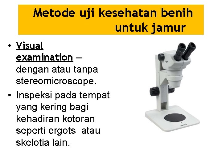 Metode uji kesehatan benih untuk jamur • Visual examination – dengan atau tanpa stereomicroscope.