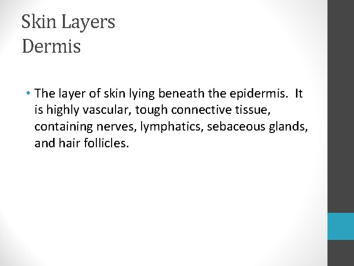 Skin Layers Dermis • The layer of skin lying beneath the epidermis. It is