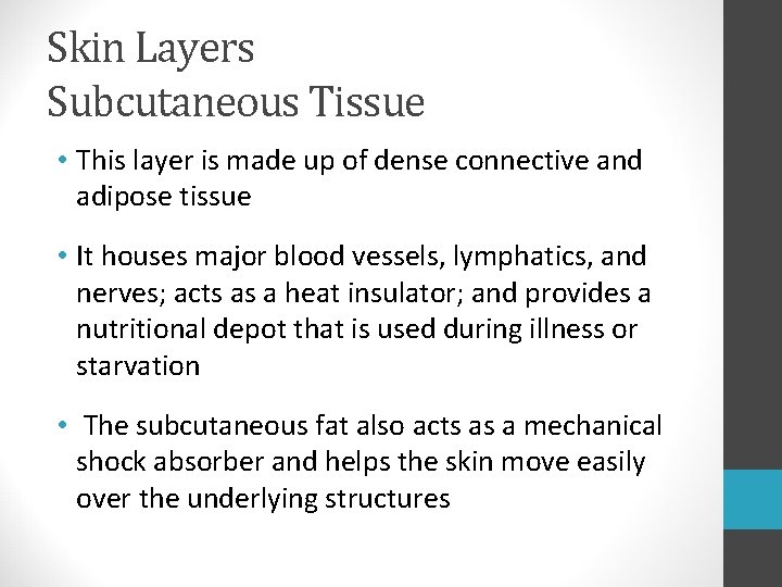 Skin Layers Subcutaneous Tissue • This layer is made up of dense connective and