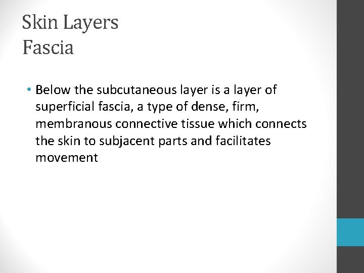 Skin Layers Fascia • Below the subcutaneous layer is a layer of superficial fascia, Skin Layers Fascia • Below the subcutaneous layer is a layer of superficial fascia,