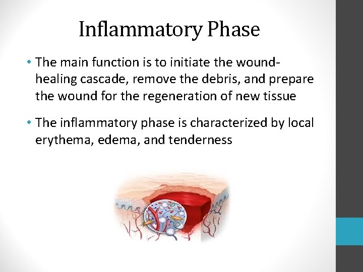 Inflammatory Phase • The main function is to initiate the woundhealing cascade, remove the