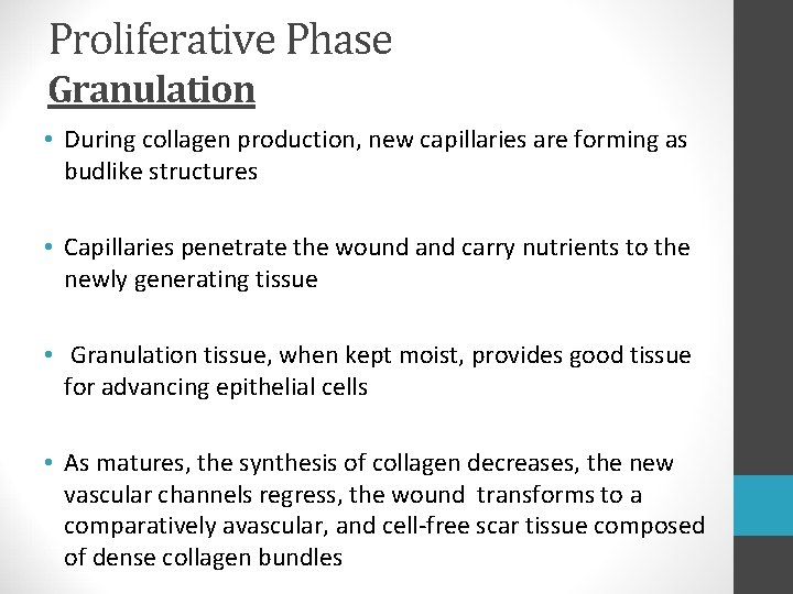 Proliferative Phase Granulation • During collagen production, new capillaries are forming as budlike structures Proliferative Phase Granulation • During collagen production, new capillaries are forming as budlike structures