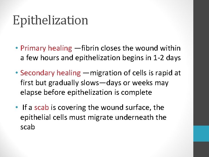 Epithelization • Primary healing —fibrin closes the wound within a few hours and epithelization