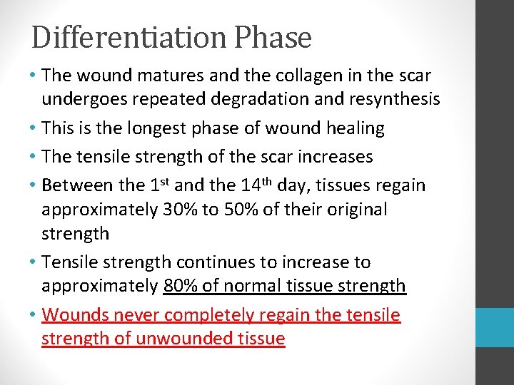 Differentiation Phase • The wound matures and the collagen in the scar undergoes repeated