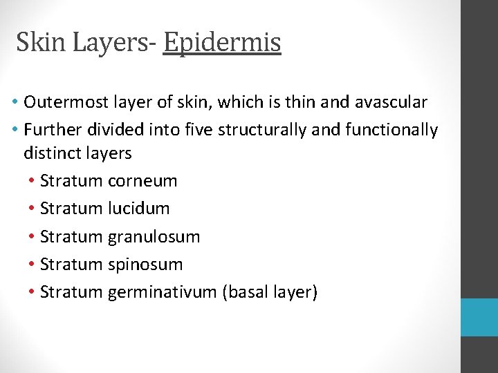 Skin Layers- Epidermis • Outermost layer of skin, which is thin and avascular • Skin Layers- Epidermis • Outermost layer of skin, which is thin and avascular •