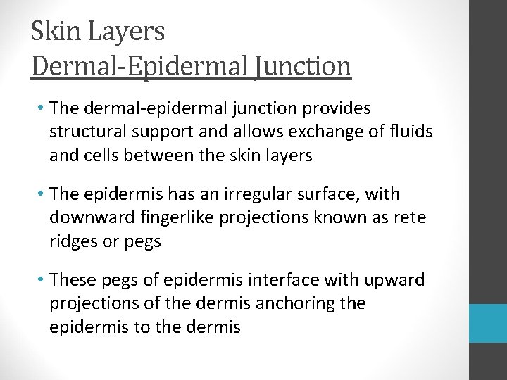 Skin Layers Dermal-Epidermal Junction • The dermal-epidermal junction provides structural support and allows exchange Skin Layers Dermal-Epidermal Junction • The dermal-epidermal junction provides structural support and allows exchange