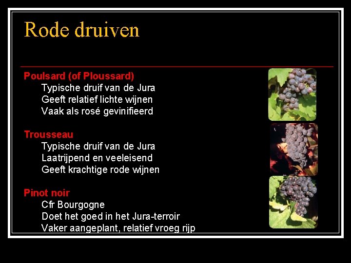 Rode druiven Poulsard (of Ploussard) Typische druif van de Jura Geeft relatief lichte wijnen