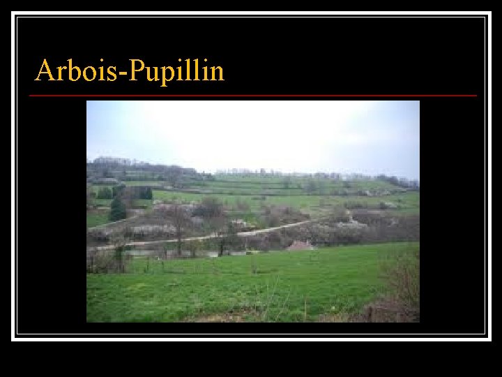 Arbois-Pupillin 