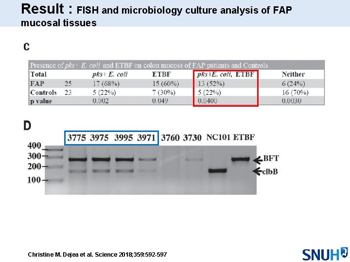 Result : FISH and microbiology culture analysis of FAP mucosal tissues Christine M. Dejea