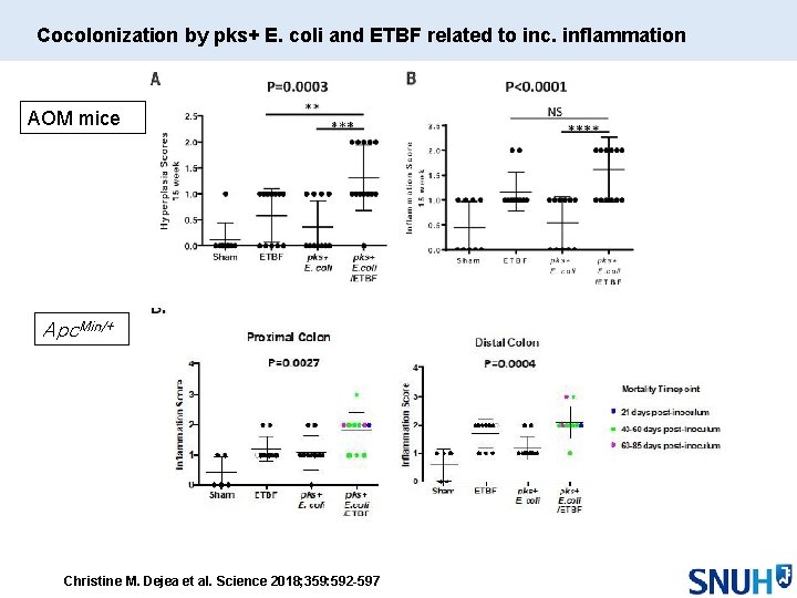 Cocolonization by pks+ E. coli and ETBF related to inc. inflammation AOM mice Apc.