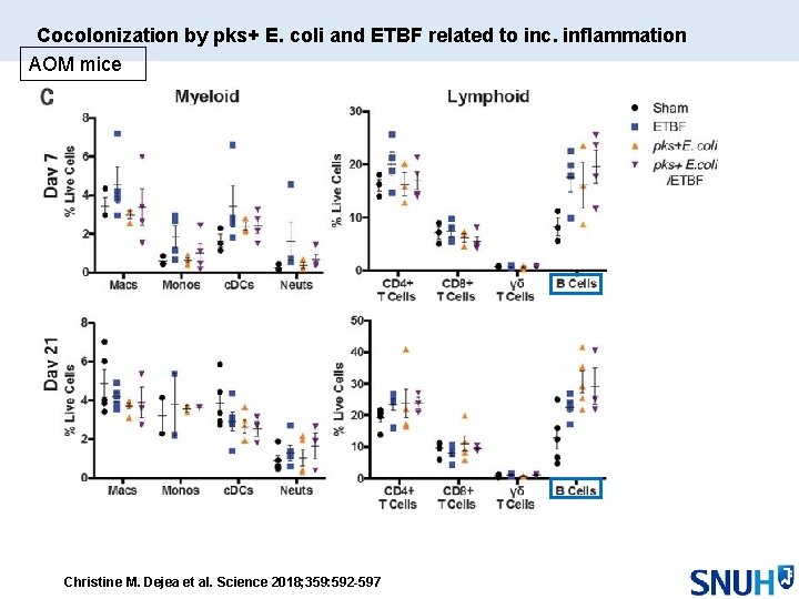 Cocolonization by pks+ E. coli and ETBF related to inc. inflammation AOM mice Christine