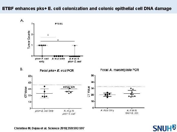 ETBF enhances pks+ E. coli colonization and colonic epithelial cell DNA damage Christine M.