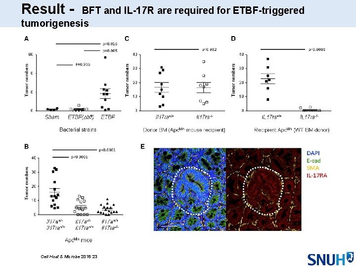 Result - BFT and IL-17 R are required for ETBF-triggered tumorigenesis Cell Host &