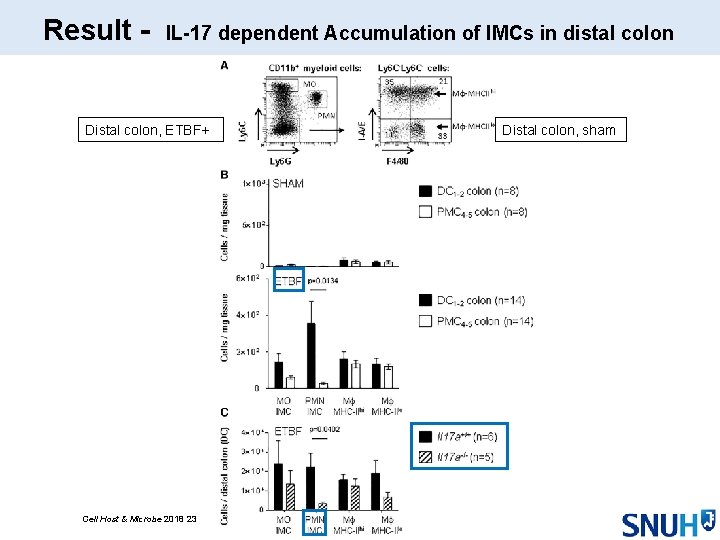 Result - IL-17 dependent Accumulation of IMCs in distal colon Distal colon, ETBF+ Cell