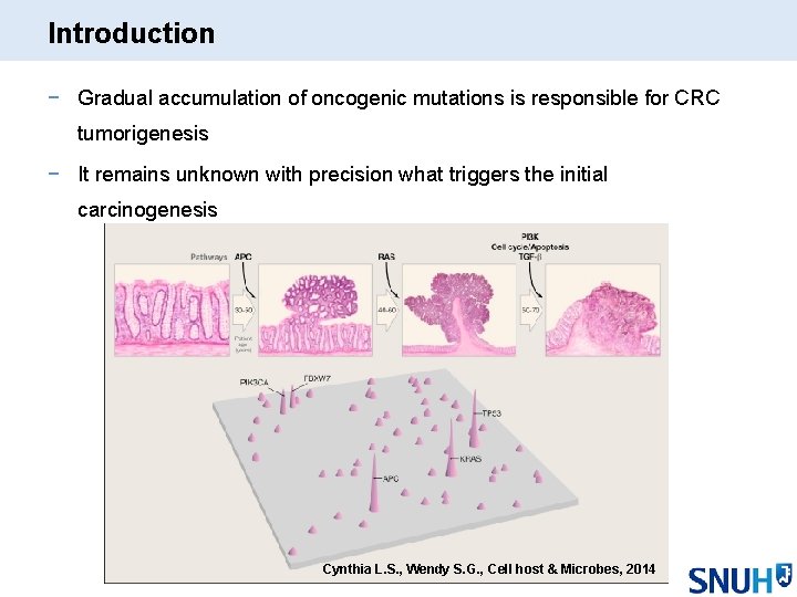 Introduction − Gradual accumulation of oncogenic mutations is responsible for CRC tumorigenesis − It