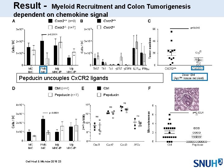 Result - Myeloid Recruitment and Colon Tumorigenesis dependent on chemokine signal Pepducin uncouples Cx.