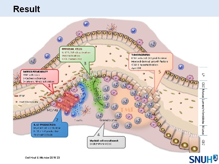 Result Cell Host & Microbe 2018 23 