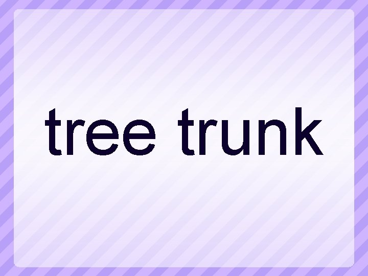 tree trunk 