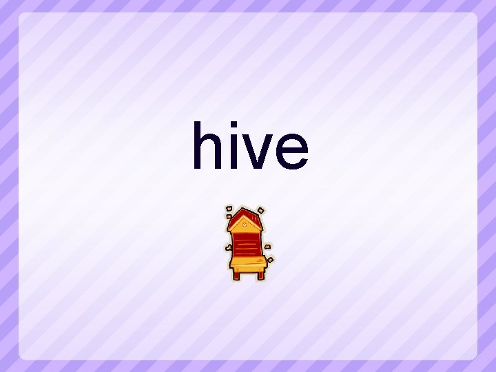 hive 