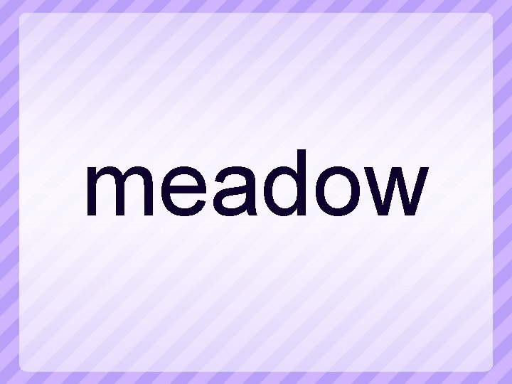 meadow 
