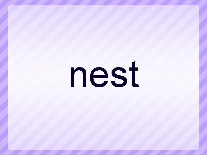 nest 