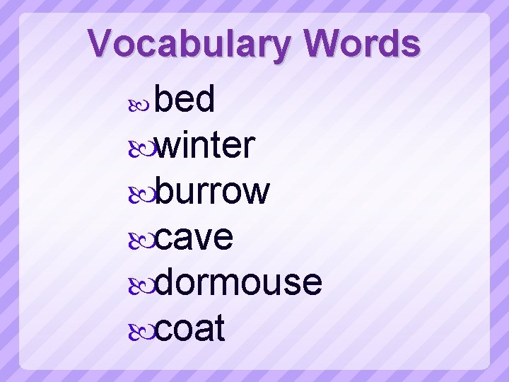 Vocabulary Words bed winter burrow cave dormouse coat 