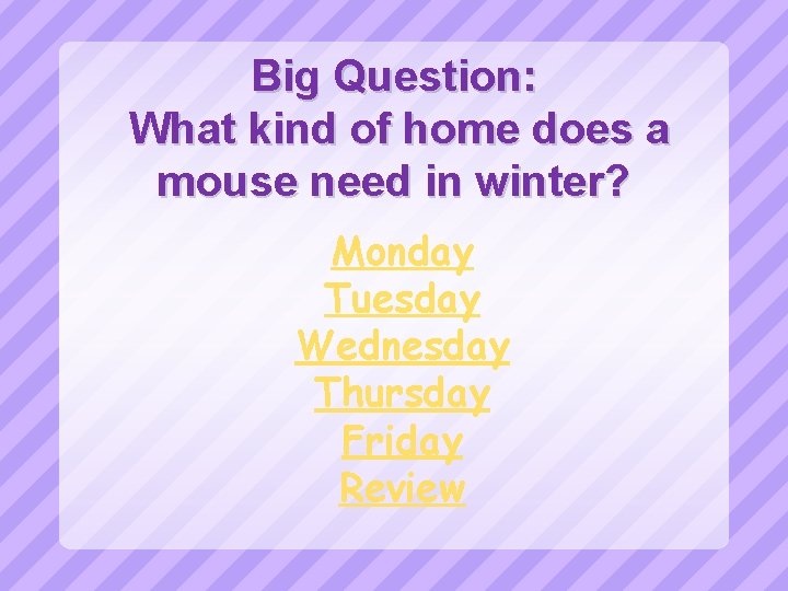 Big Question: What kind of home does a mouse need in winter? Monday Tuesday