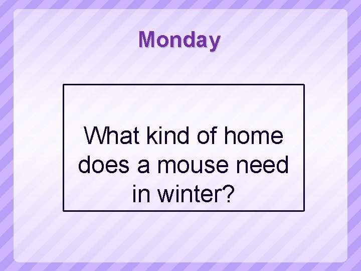 Monday What kind of home does a mouse need in winter? 