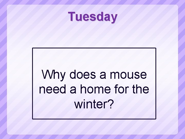 Tuesday Why does a mouse need a home for the winter? 