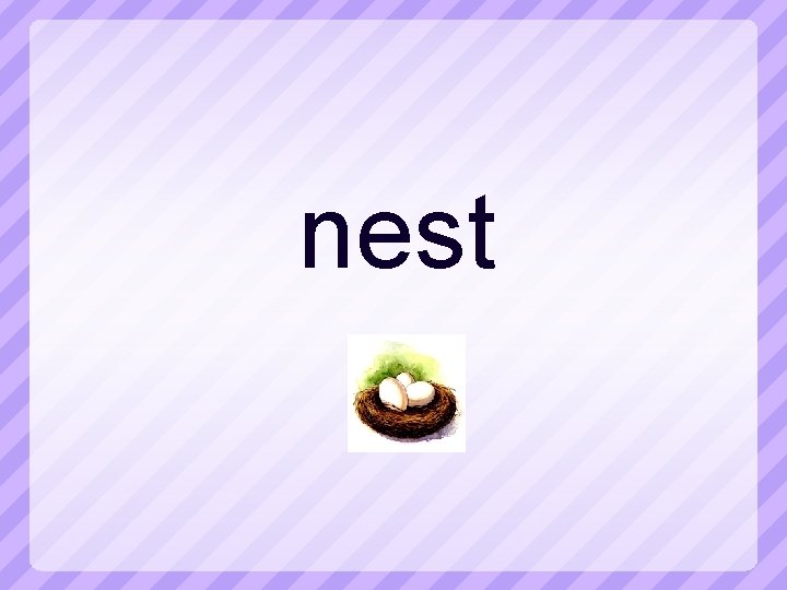 nest 