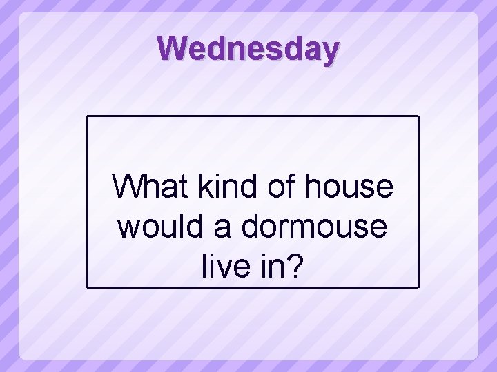 Wednesday What kind of house would a dormouse live in? 