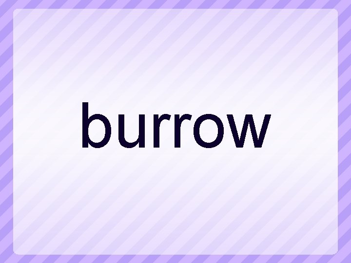 burrow 