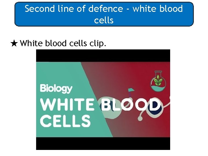 Second line of defence - white blood cells ★ White blood cells clip. 