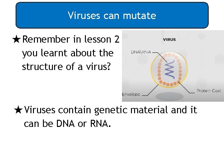 Viruses can mutate ★Remember in lesson 2 you learnt about the structure of a