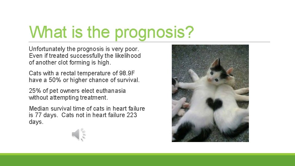 What is the prognosis? Unfortunately the prognosis is very poor. Even if treated successfully