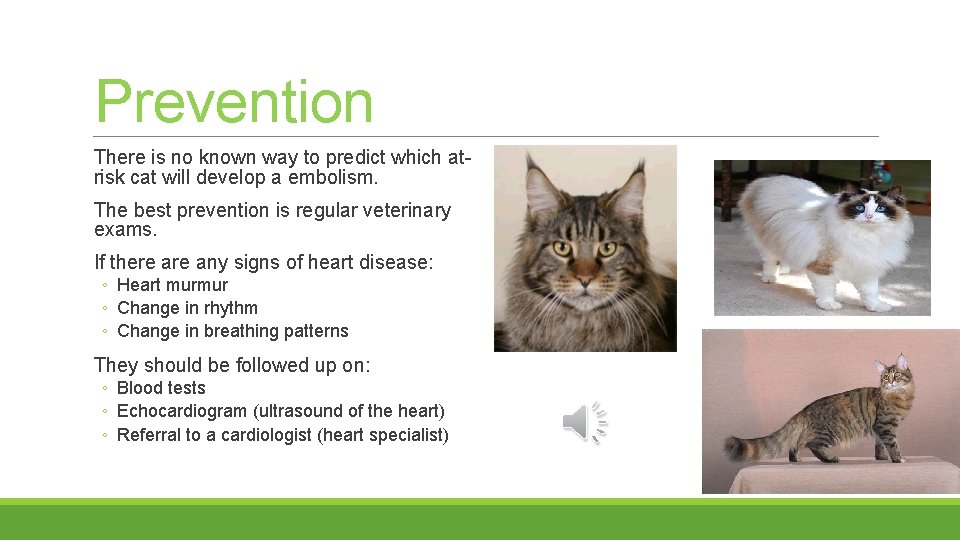 Prevention There is no known way to predict which atrisk cat will develop a